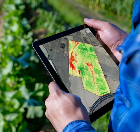 Разработка индивидуального плана обследования полей