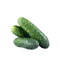 Огурец