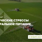 Онлайн - вебинар 