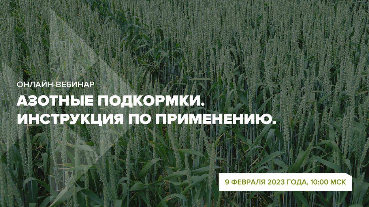 Онлайн-вебинар 