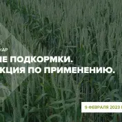 Онлайн-вебинар 