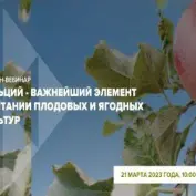 Онлайн-вебинар 
