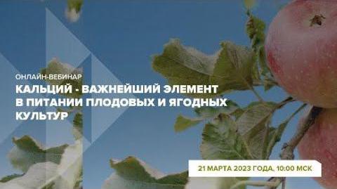 Онлайн-вебинар 