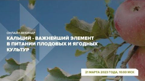 Онлайн-вебинар 
