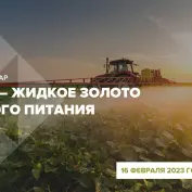 Онлайн-вебинар 