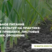 Онлайн-вебинар 