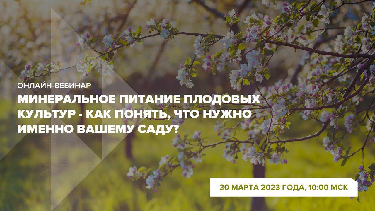 Онлайн-вебинар 