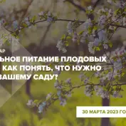 Онлайн-вебинар 