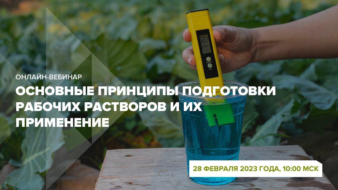 Онлайн-вебинар 