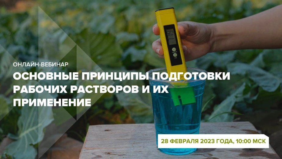 Онлайн-вебинар 