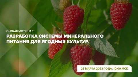 Онлайн-вебинар 