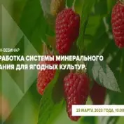 Онлайн-вебинар 