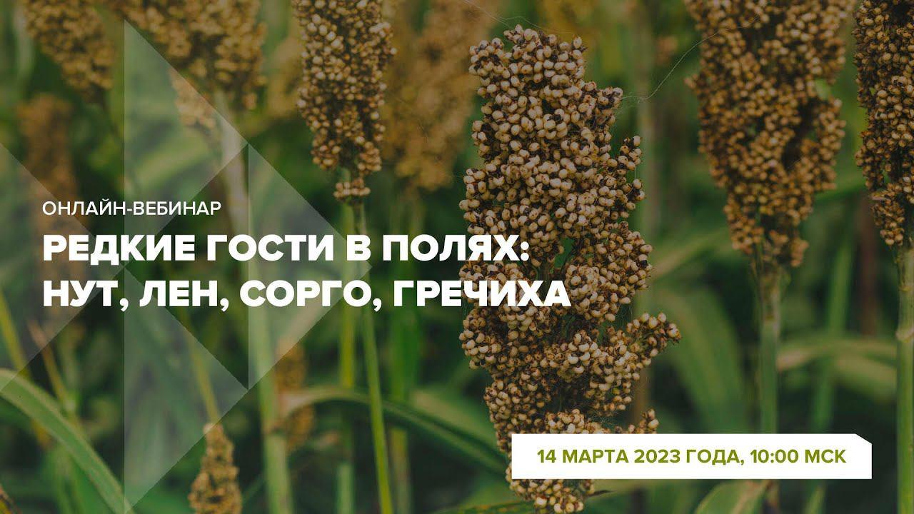 Онлайн-вебинар 