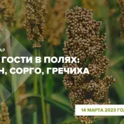 Онлайн-вебинар 