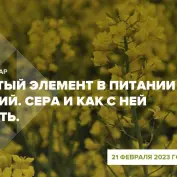 Онлайн-вебинар 
