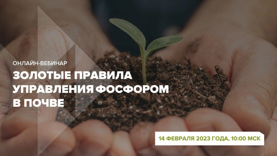 Онлайн-вебинар 