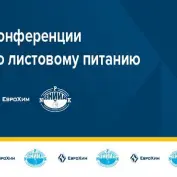 Online - конференция 
