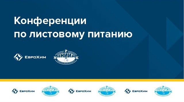 Online - конференция 