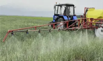 Результаты опытов в Республике Казахстан (2022 г.). Озимая мягкая пшеница