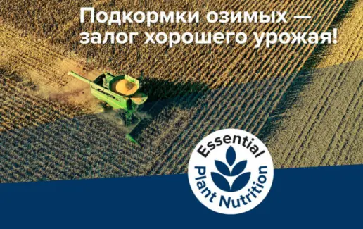 Весенние подкормки озимых. Оптимальный выход культур из зимы