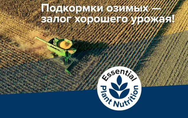 Весенние подкормки озимых. Оптимальный выход культур из зимы