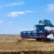 Уборка озимой пшеницы в Калининском районе