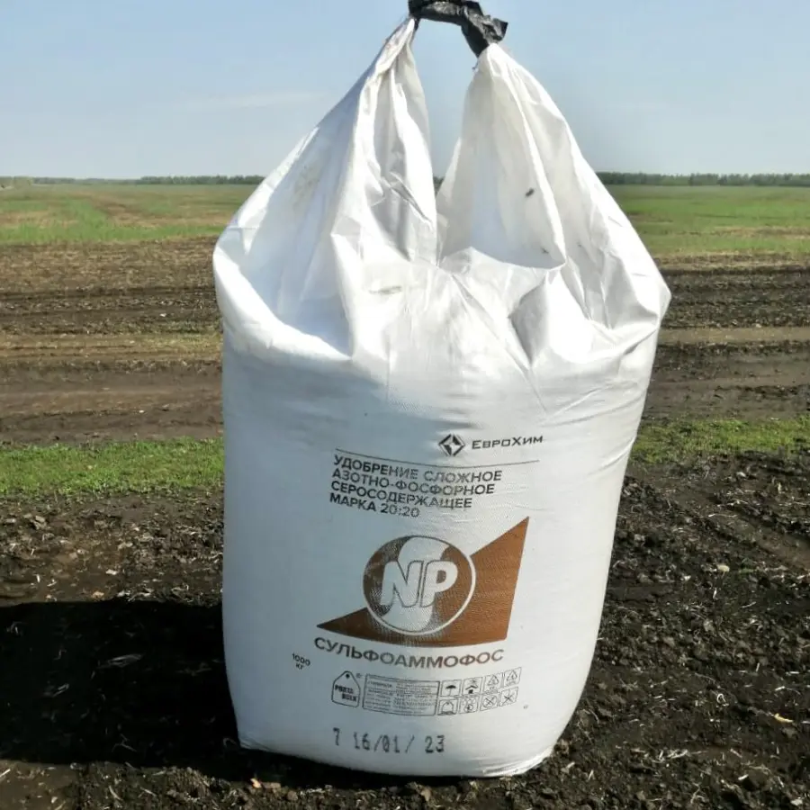 Полевой опыт совместно с компанией BASF в Рязанской области