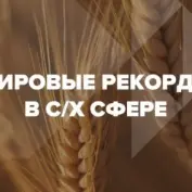 Мировые рекорды сборов урожая в сельскохозяйственной индустрии
