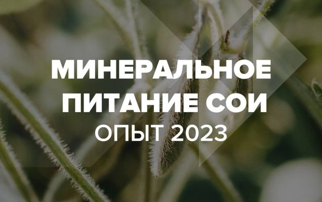 Опыт по минеральному питанию сои в Белгородской области