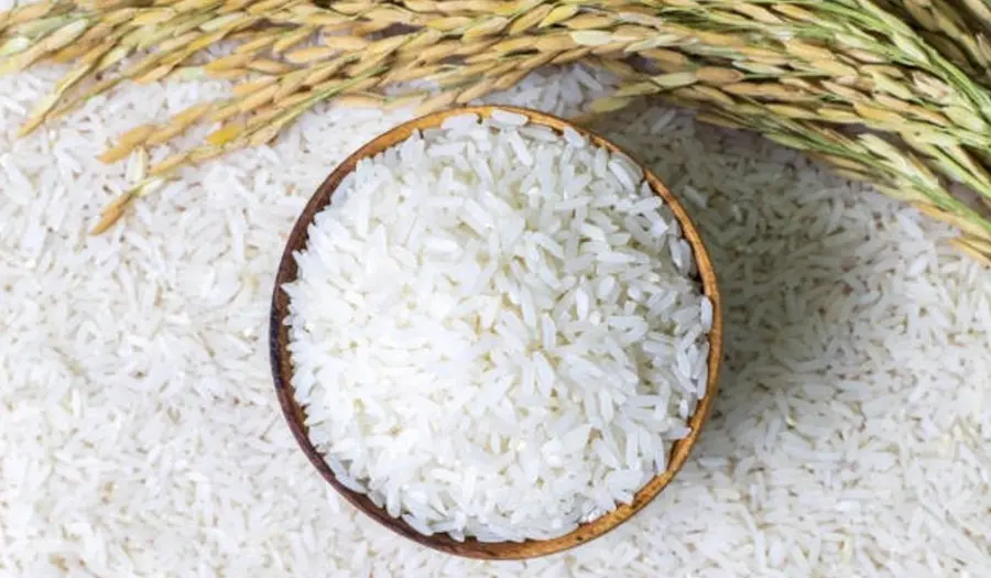 Урожайные чеки: фосфогипс и миллионные рисовые рекорды