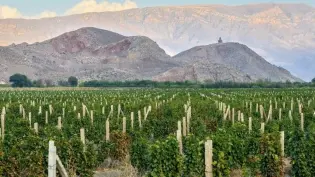 Запустили сайт на армянском языке