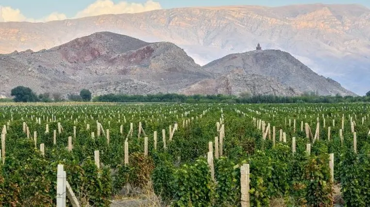 Запустили сайт на армянском языке