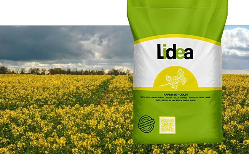 Как накормить рапс для идеальной перезимовки