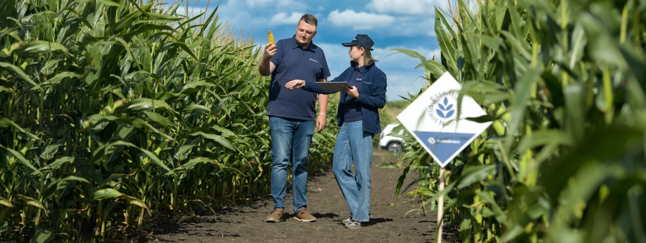 Полевые опыты