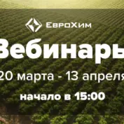 Компания ЕвроХим объявляет старт нового сезона онлайн вебинаров