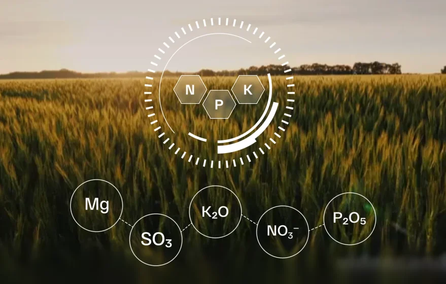 Равномерное внесение