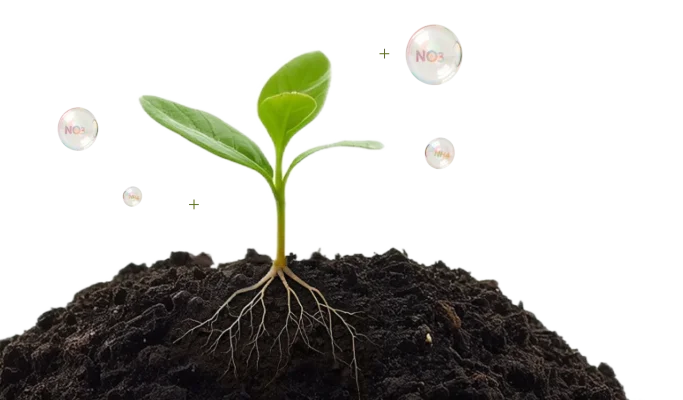 Оптимальная формула азота