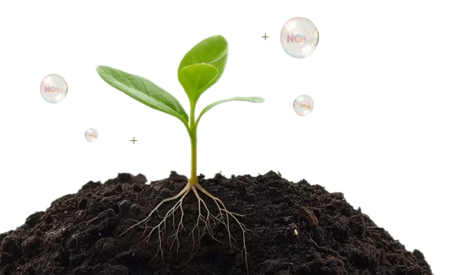 Оптимальная формула азота