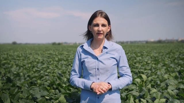 Прокачай сою! Итоги полевого опыта