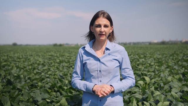 Прокачай сою! Итоги полевого опыта
