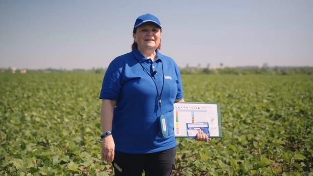 Прокачай сою! Полевой опыт (часть 2)