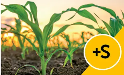 Элемент, о котором стоит помнить