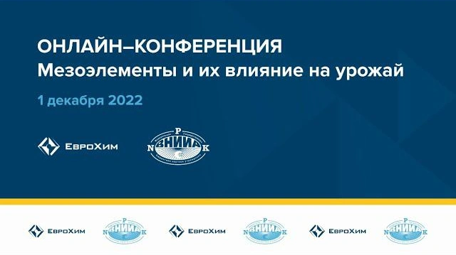 Сессия №1. Online-конференция 