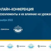 Сессия №1. Online-конференция 