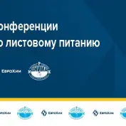 Сессия №2. Online - конференция 