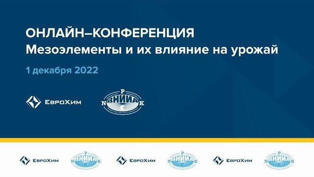 Сессия №2. Online-конференция 