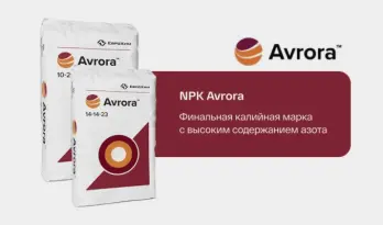 Презентация 1