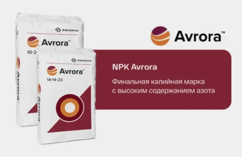 Презентация 8