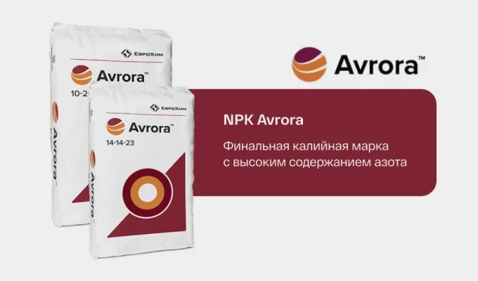 Презентация 8