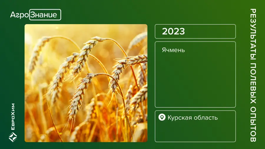 Результаты полевых опытов, ячмень, Курск